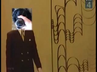 Beatbox Dog Sings Trololo