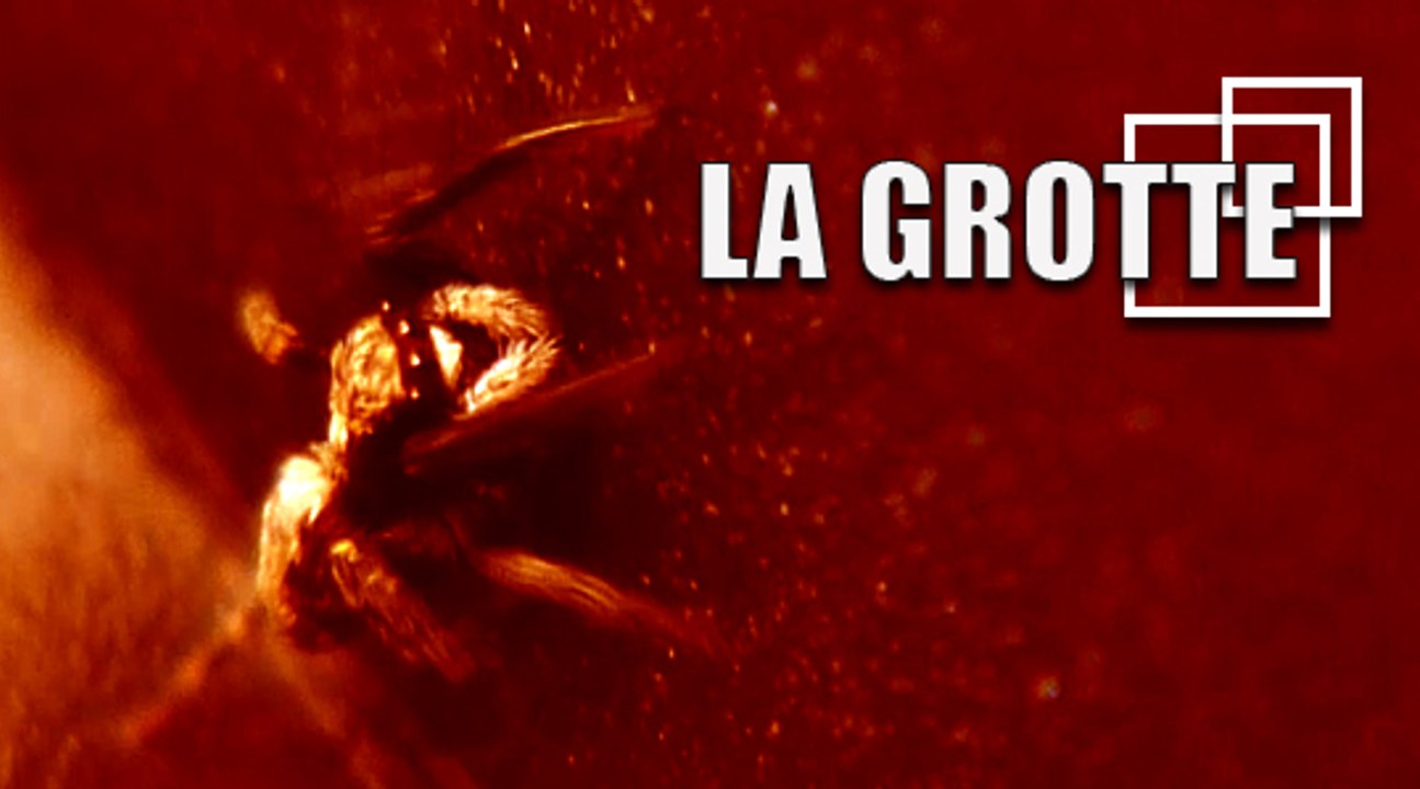 FÉVRIER 2015 sur La voix de la grotte