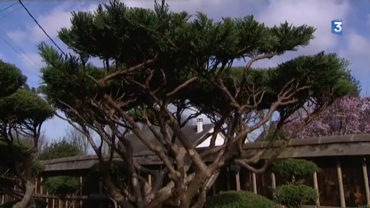 Gilles Touret, créateur de jardins japonais