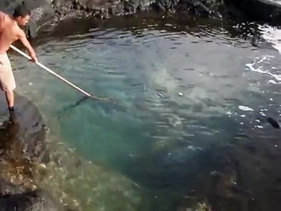 inanılmaz balık avı 1 metre suda dev balık