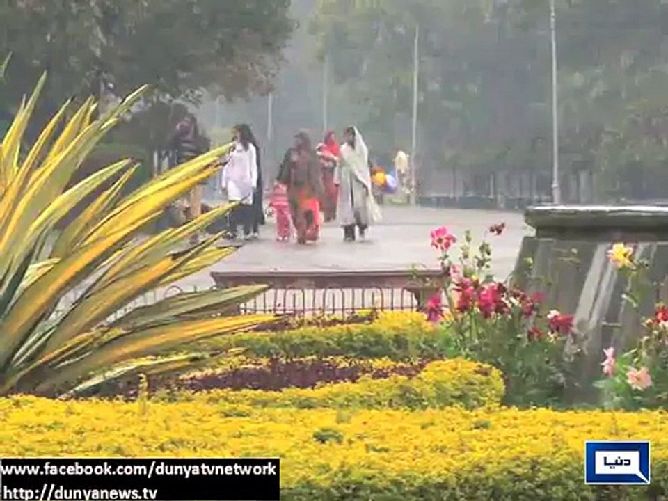 Dunya News -  Rain continue in various cities of Pakistan