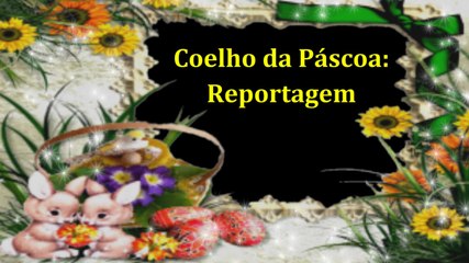 InVersos: Reportagem - Coelho da Páscoa