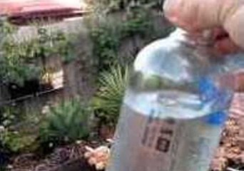 Even More Important BBQ Information From an Armenian Dad