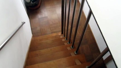 秋田犬いなくなった飼い主を見つけて凄く喜ぶ【akita dog】