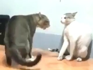 Neden beni aldattın