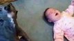 A Dog Imitating A Crying Baby (Hilarious Clip)
