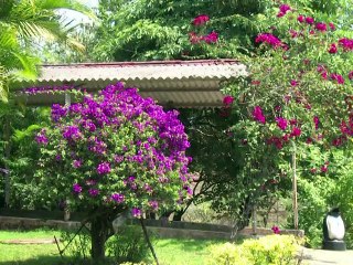 A la retraite, des Indiens rompent avec la cohabitation familiale