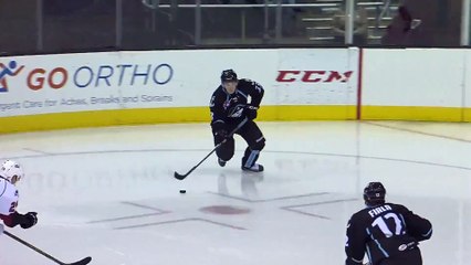 Hockey - L'arrêt miracle de Calvin Pickard