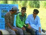 Sohni Jatti | Rowan Te Kurlawan | Saraiki Latest Songs | Thar Production