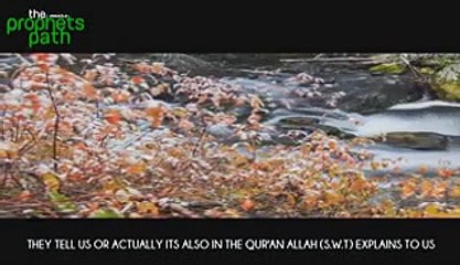 Admit Your Mistake ᴴᴰ - Powerful Islamic Reminder.3gp