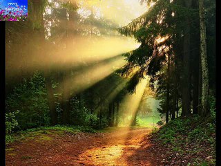 CHALO JAI CHOLE JAI ANASUYA CHOWDHURY