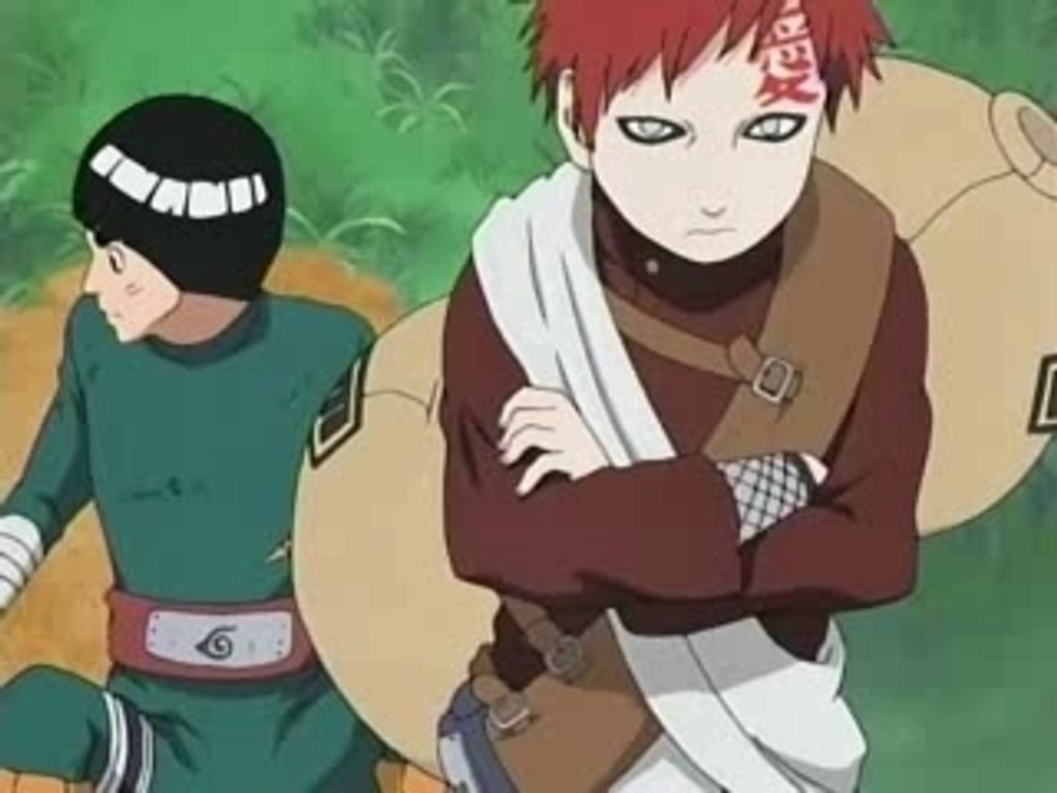 Ninja's fight