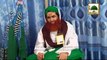 Har Baat Main Labbaik - Madani Muzakra 876 - 28 March 2015 - Maulana Ilyas Qadri