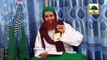 Sunnat Aur Hadees Main Kia Farq Hai - Madani Muzakra 876 - 28 March 2015 - Maulana Ilyas Qadri