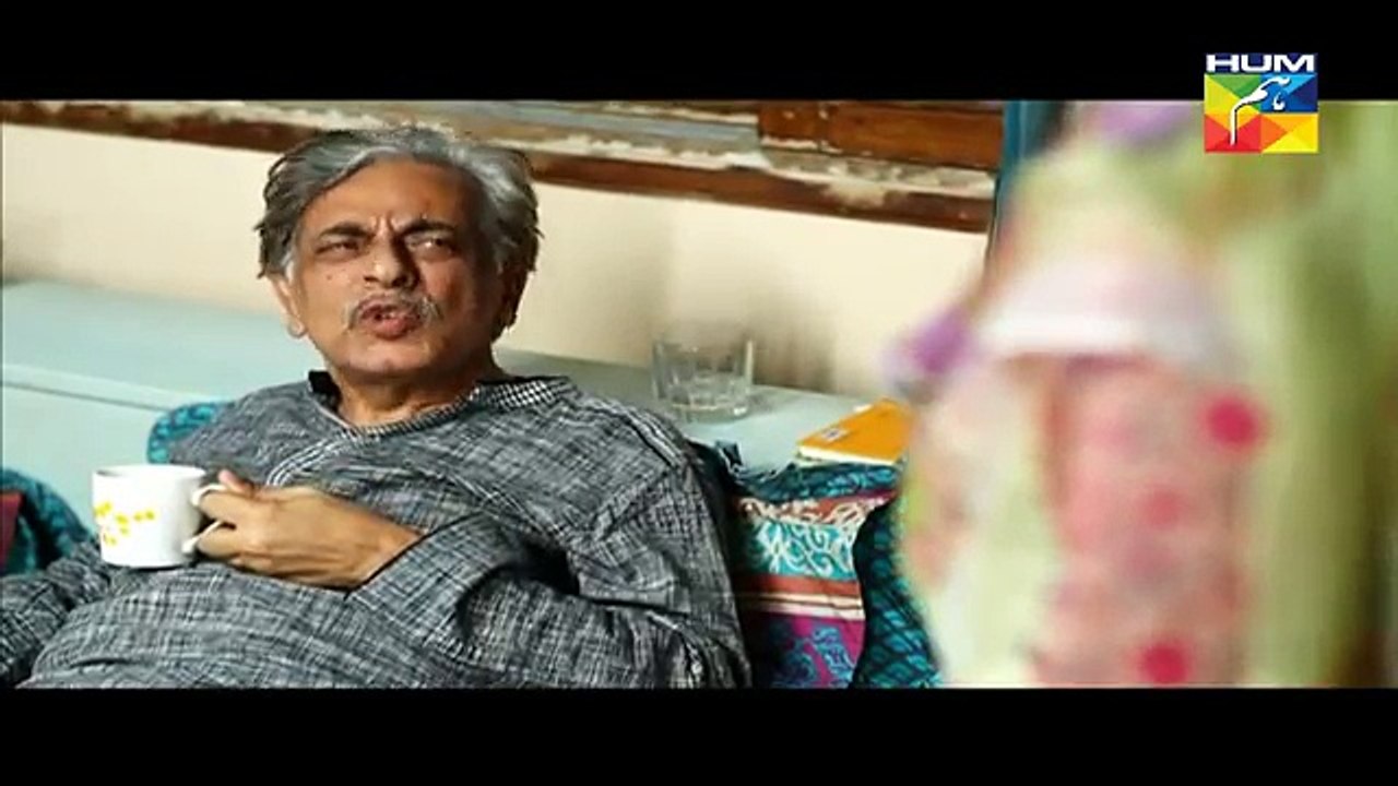 Aye Zindagi Episode 4 Full on HUM TV