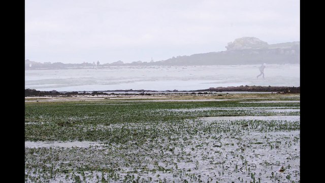Landéda, l'Aber-Wrac'h, grande marée 2015