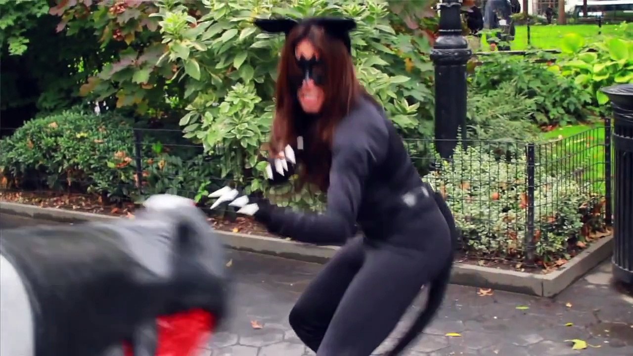 Batman vs. Poison Ivy!