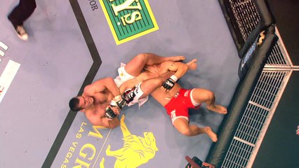 Gabriel Gonzaga highlights