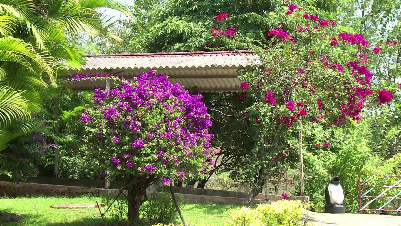 Aldeas para jubilados en la India