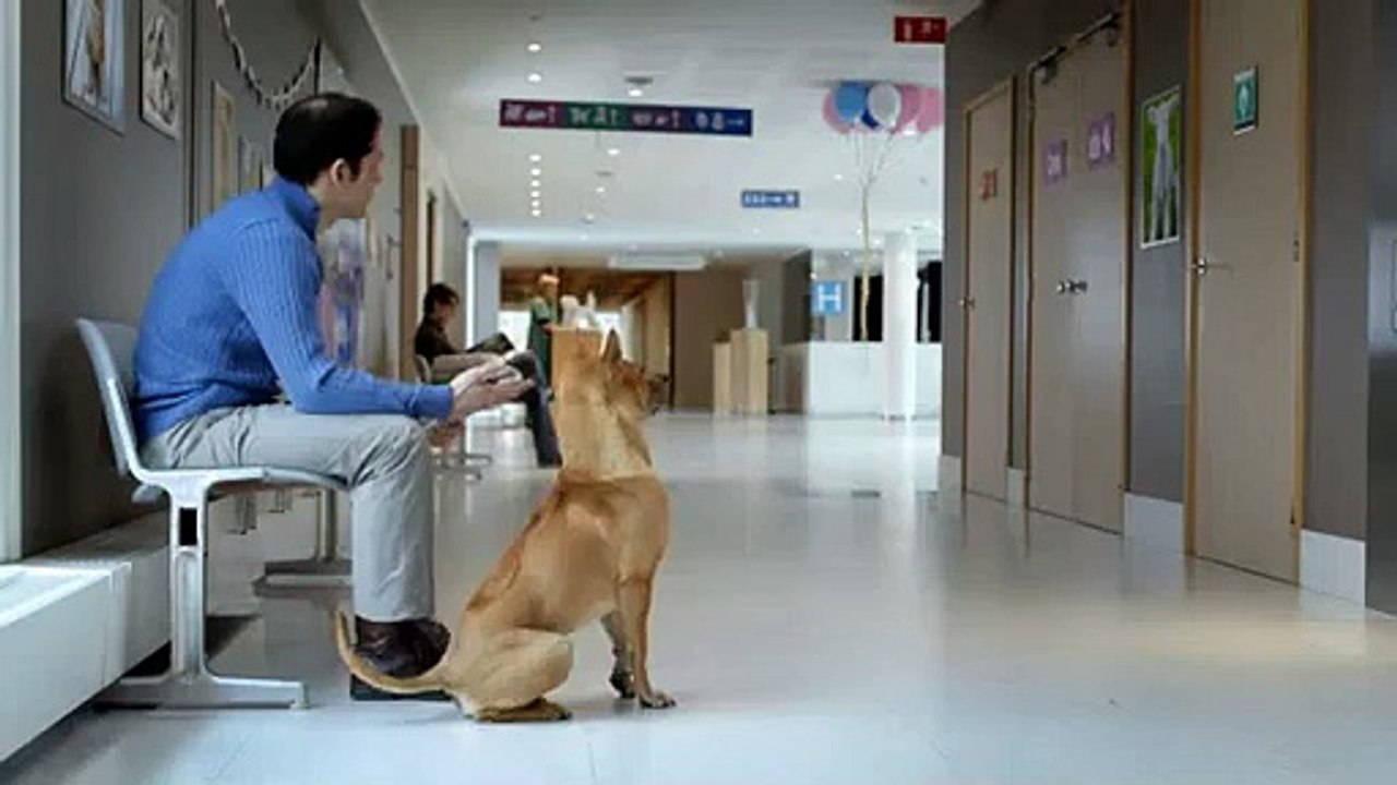 Kito est devenu père de cinq chiots adorables !