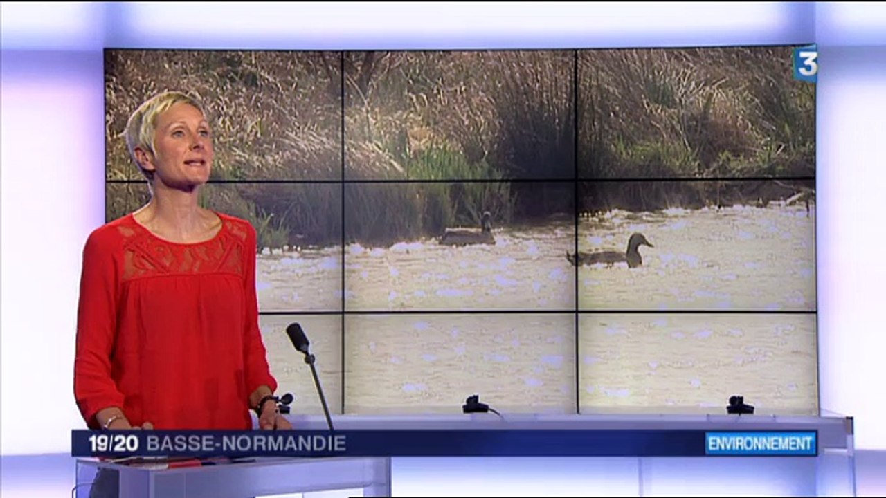 Poisson d'avril du journal France 3 Basse-Normandie avec Philippe Lailler