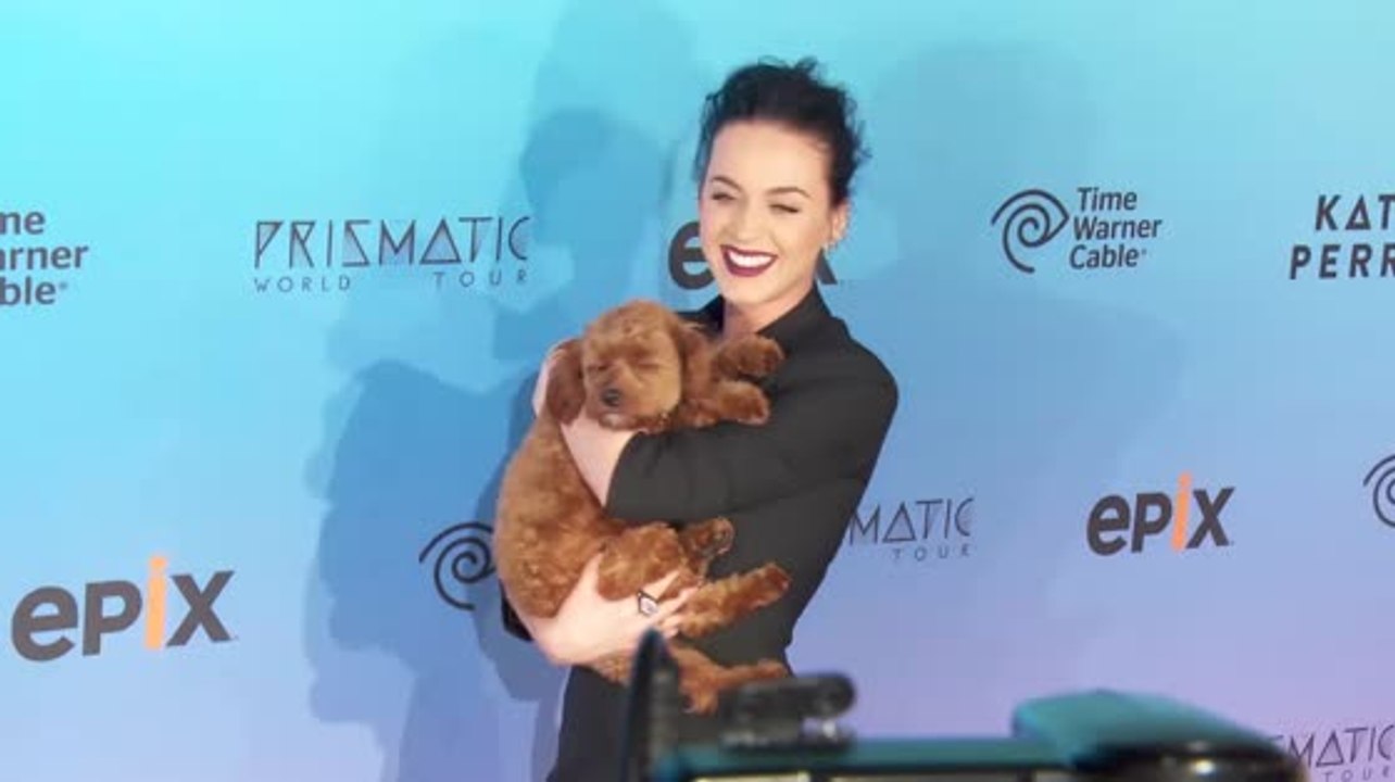 Katy Perry Accidently Posts Her Phone Number