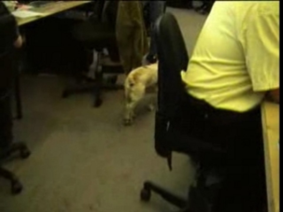 Les presidentielles a LIBE en 2002