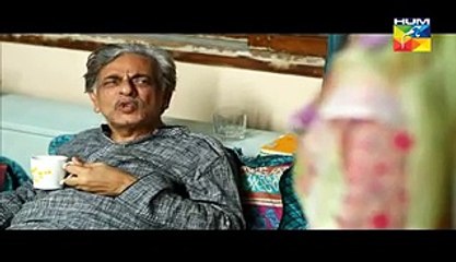 Aye Zindagi Episode 4 Full on Hum Tv - April 2