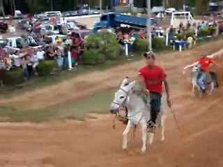 donkey gone mad during race funny