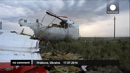 Footage of MH17 wreckage in Ukraine - no comment