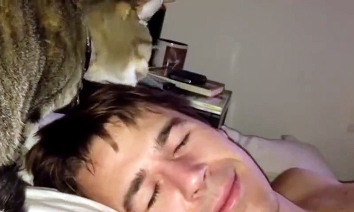 Cat Alarm Clocks