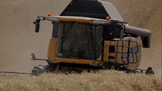 Experiences with New Holland CX Harvester