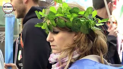 No allo smantellamento del #CorpoForestale! - MoVimento 5 Stelle