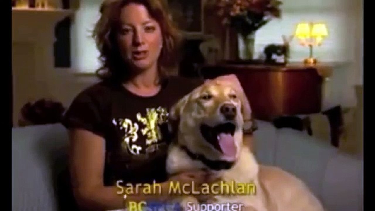 Sarah McLachlan "Angel" Animal Cruelty Video  ***ORIGINAL VERSION***