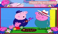 La Cerdita Peppa Pig T4 en Español, Capitulos Completos HD Nuevo 4x11 El Jardín de Peppa y George