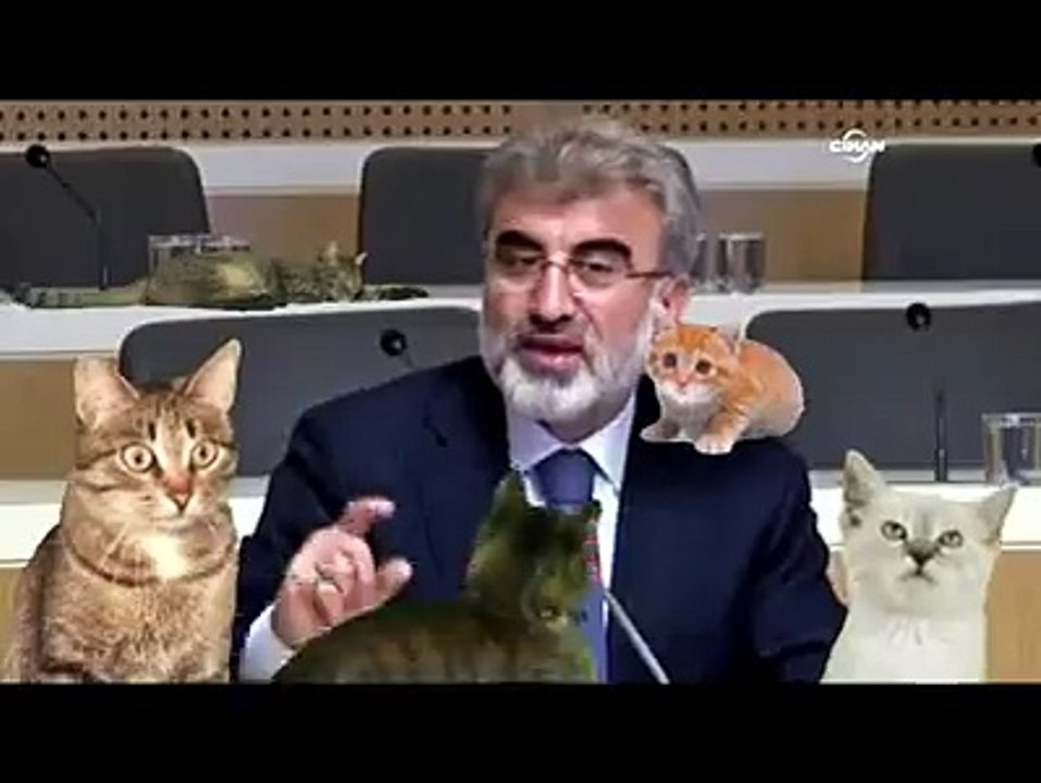 KEDi GiRDi