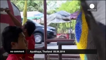 Thai elephants take part in World Cup warm-up - no comment