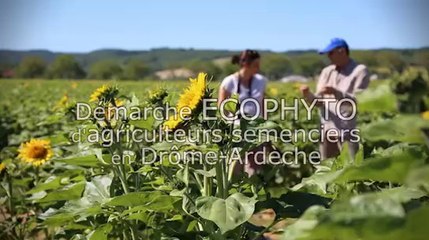 Dephy-semences en Drôme - Ardèche