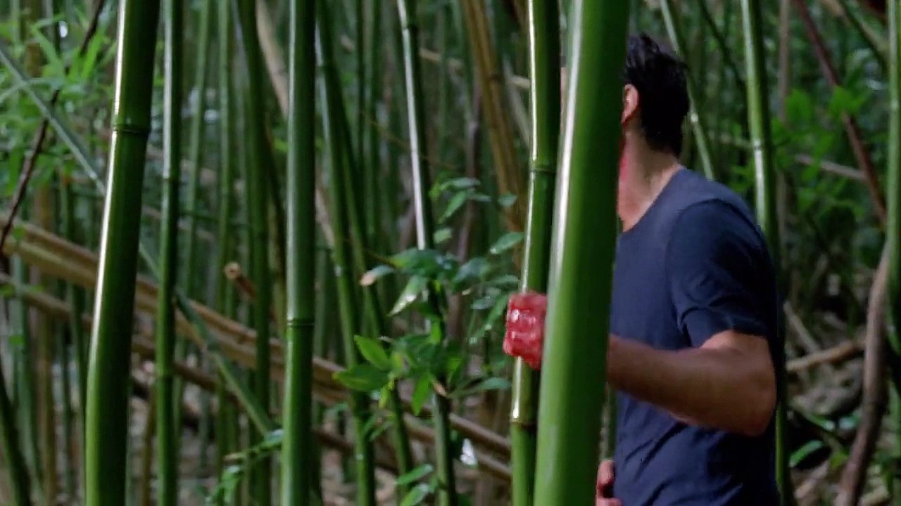 LOST - Final (6x18) Latino HD