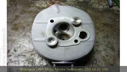 BOLOGNA, ARGELATO   MOTO MORINI  SETTEBELLO 250 GI CC 250 IMMATRICOLATA 1967