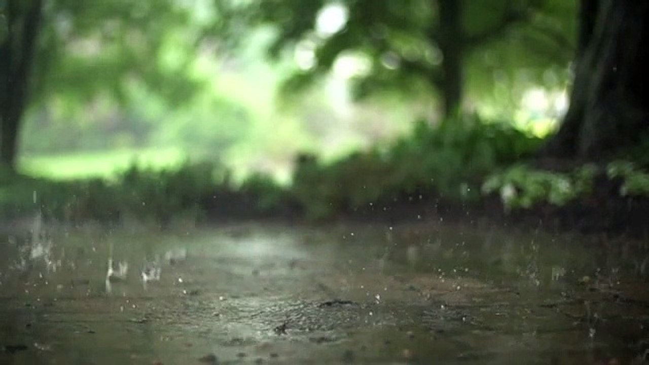 Raindrops