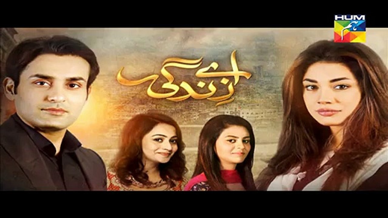 Aye Zindagi Episode 5 Promo HUM TV Drama