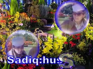 Must Music SADIQ Shn Tittle