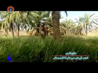 Shoq e Zindagi | شوق زندگی | April 02, 2015