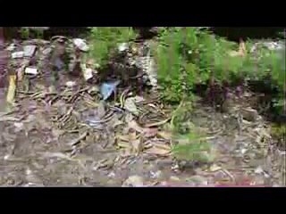 Environmental Pollution Documentary