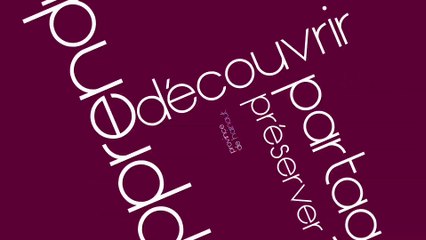 Maison Losseau, dernière ligne droite !