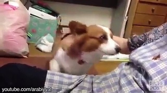 Nasıl Sevilmeleri Konusunda Taktik Veren Çok Bilmiş...