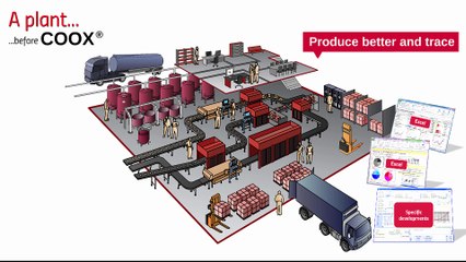 A plant before and after COOX software's use - ORDINAL Software