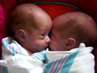 Hungry Babies Attack