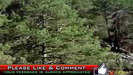 Eagle vs Snake - Black Mamba Fight With Eagle